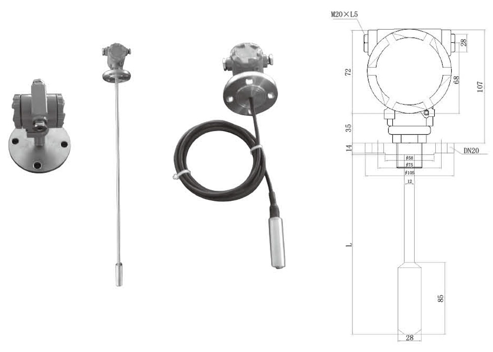 Hydrostatic level gauge DG-D400(图1)