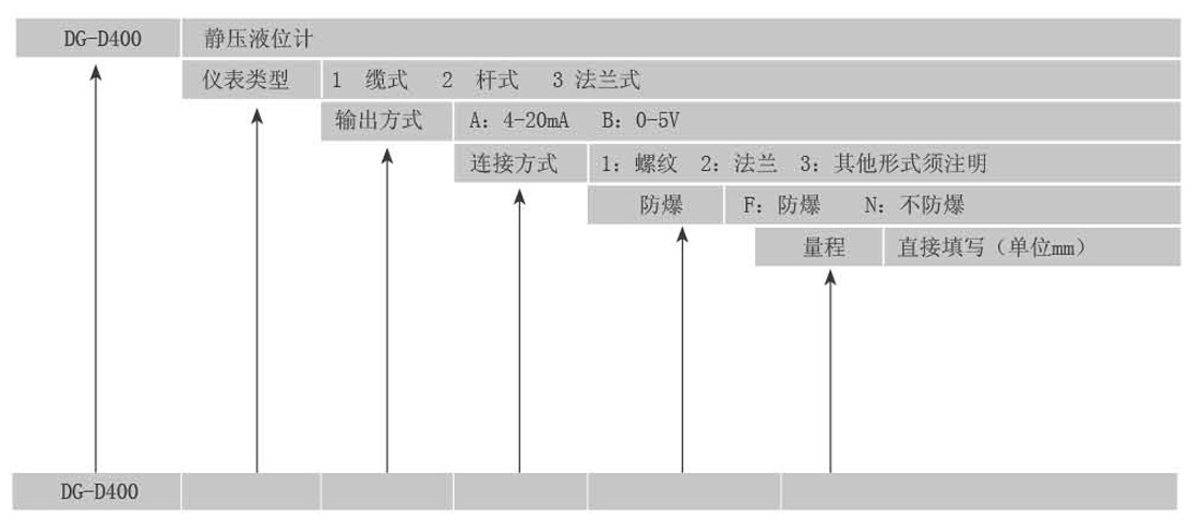 Hydrostatic level gauge DG-D400(图2)