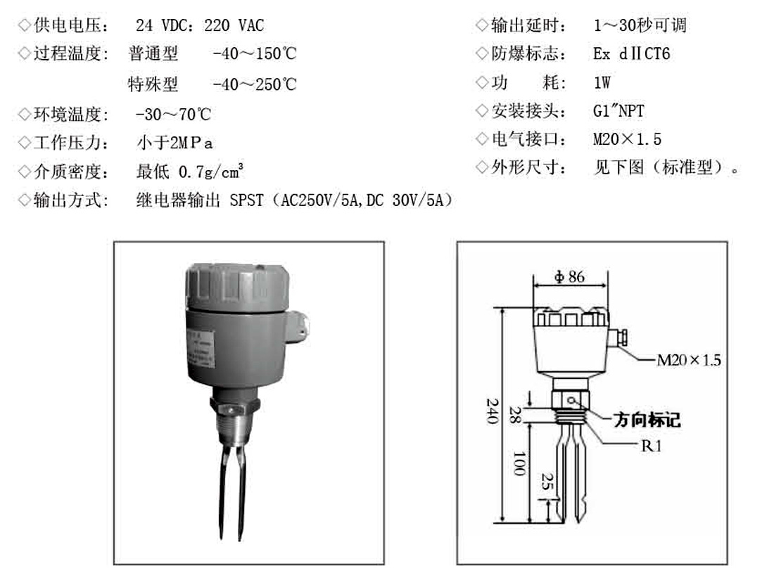 Tuning fork level switch JDYC(图2)