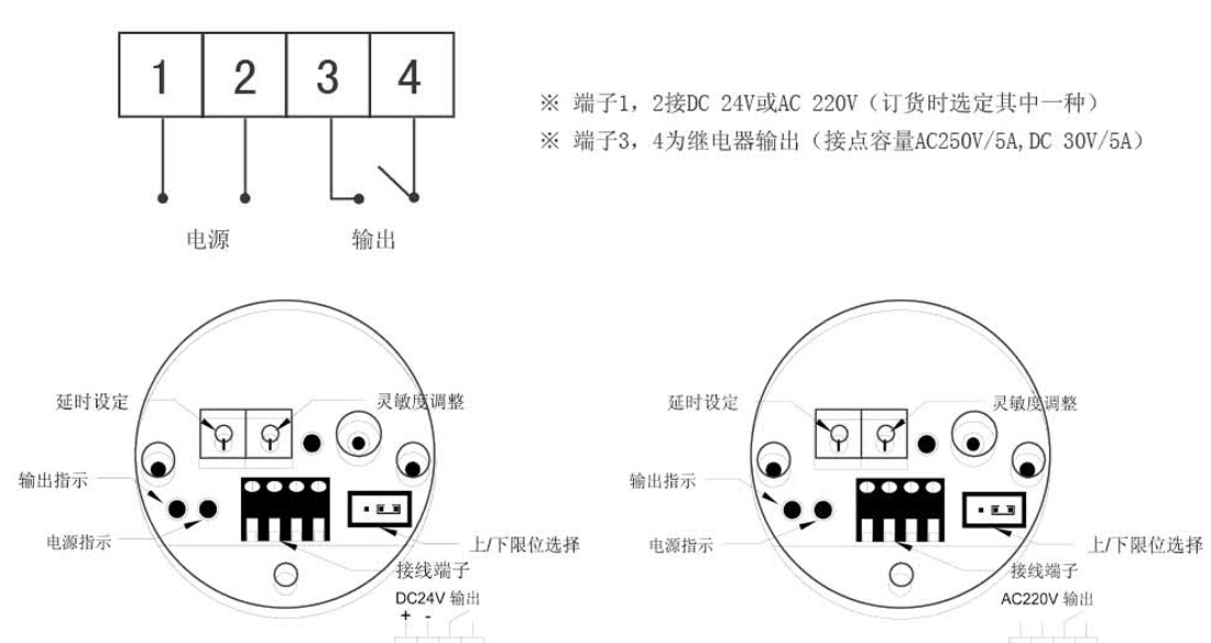Tuning fork level switch JDYC(图3)