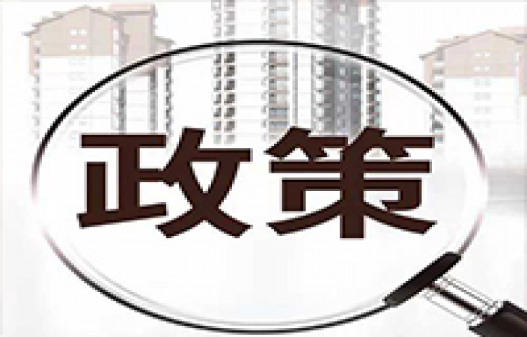 Details of the Implementation Rules of the Measures for the Supervision and Administration of Import