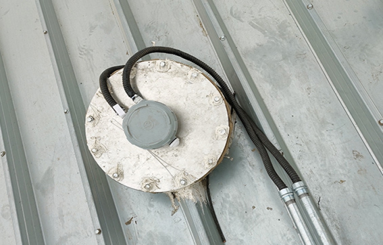 Application case of Limaco radar level scanner in lactic acid bacteria warehouse