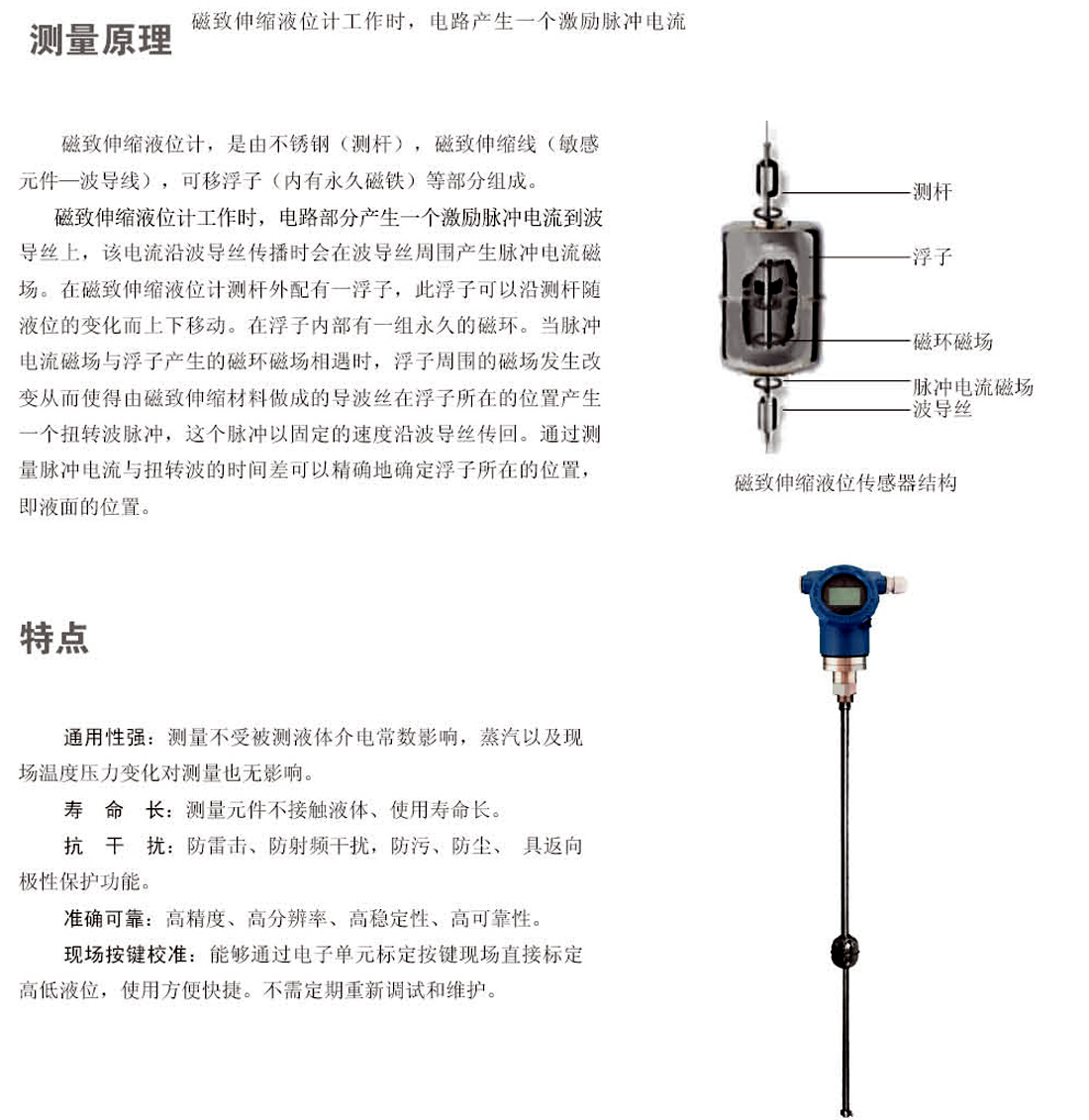 磁致伸缩液位计 JDCM(图1)